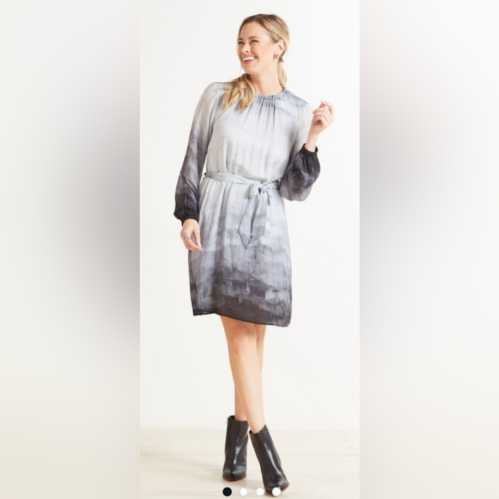 Cloth & Stone Gathered Ombré Mini Dress in Black, White and Gray, Size S